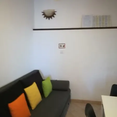 Apartment Hedgehog House